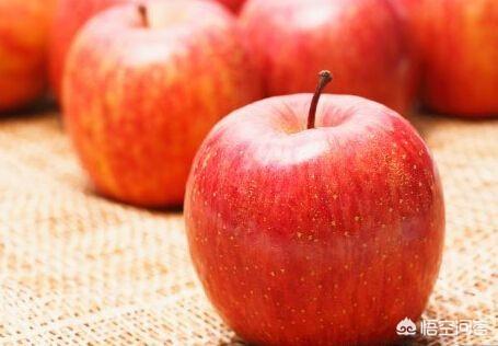 到底能不能空腹吃苹果？苹果对人体有哪些好处？