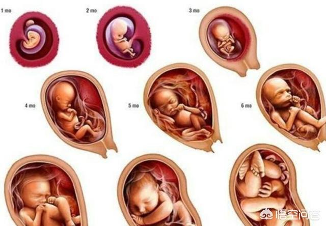 胎儿发育快慢只有产检才能检验出来吗孕妈身上有迹可循吗