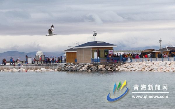 自然美、生态美！全国网媒点赞青海湖生态美景