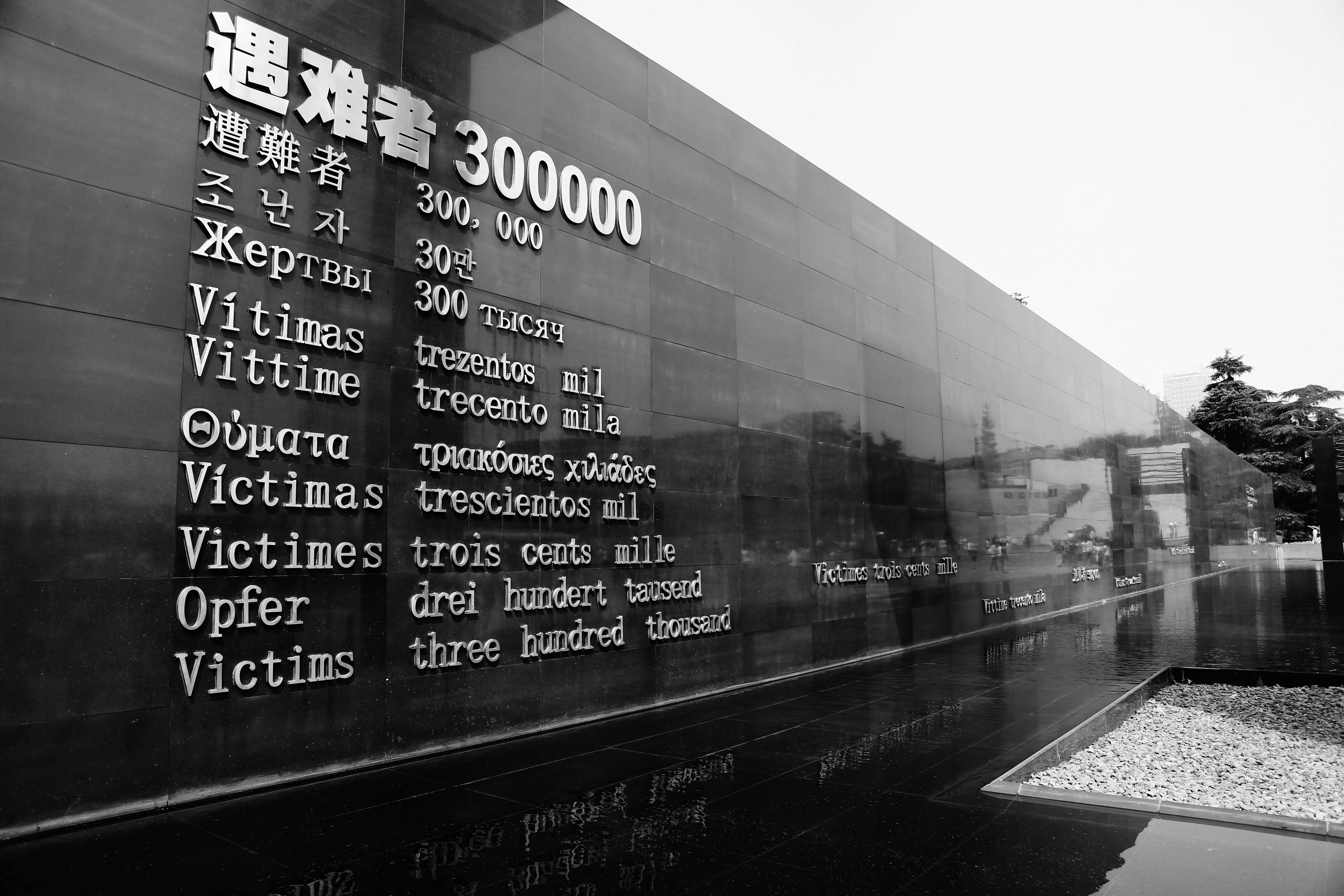 南京大屠杀资料_利大还是弊大反方资料_南京的屠杀电影