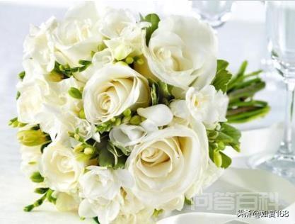 男人送女人九朵白玫瑰代表什么意思？