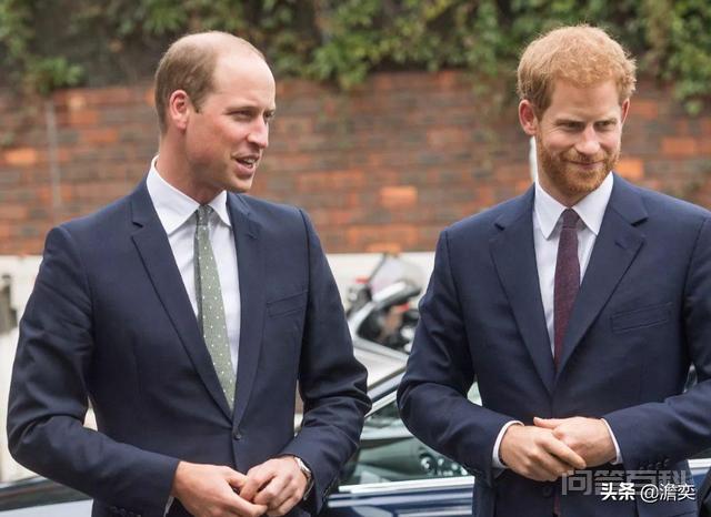 威廉王子的发型一直被各大英媒吐槽，是基因遗传还是英国的水质问题？