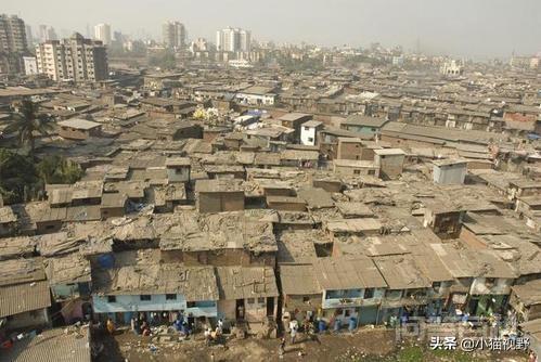 巴西平民窟与印度平民窟谁的跟大？