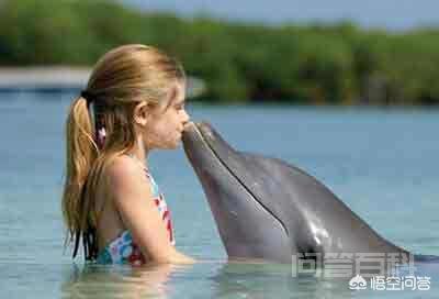 “自古就有海豚救人”，你知道海豚为什么会救人吗？