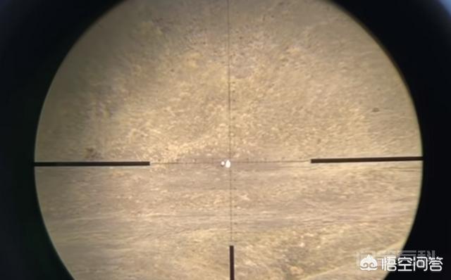 一些狙击枪靠4-10倍镜是如何在千米开外精确瞄准目标头部，达到一枪爆头的？