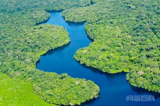 被称为地球之肺的亚马逊热带雨林，到底有多<strong>可怕</strong>？