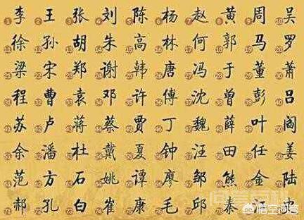 中国的第一大姓氏是什么？