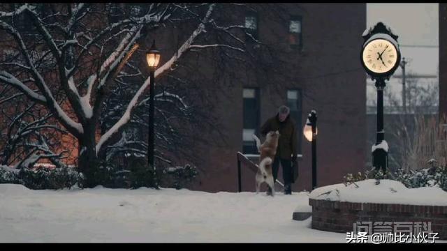 刚看了《一条狗的使命2》，温情催泪。还有哪些关于狗狗的电影值得看？