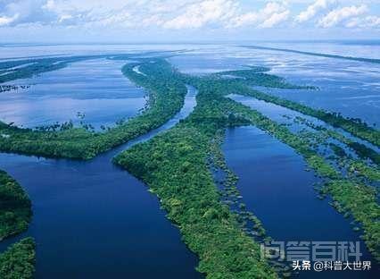 世界最大河流是亚马逊河，最小的河流是哪条？