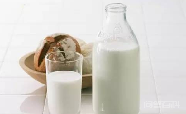 奶泡与牛奶的区别是什么？