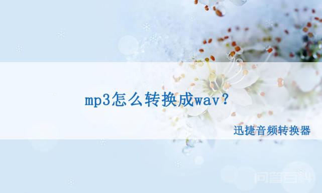 mp3怎么转换成wav？mp3转wav格式其实很简单！