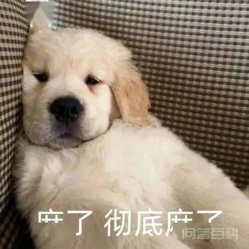 破防了，husband还能这样用？