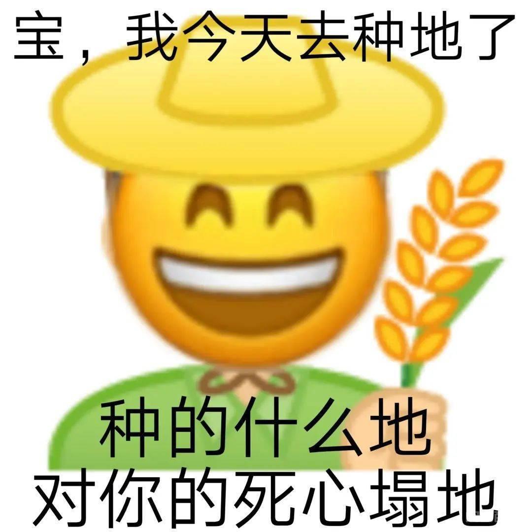 破防了，husband还能这样用？