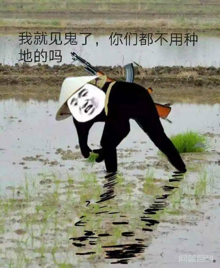 破防了，husband还能这样用？