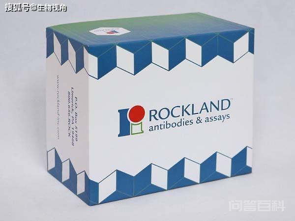 Rockland重组DIG（DIG45）抗体应用原理科普