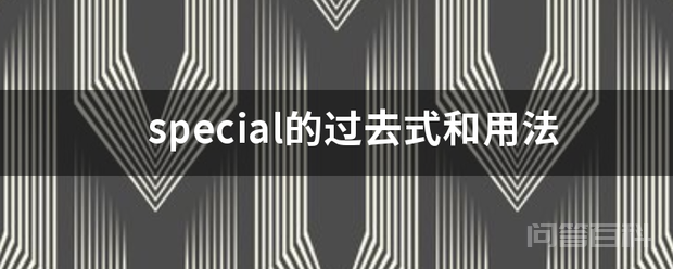 special的<strong>过去</strong>式和用法