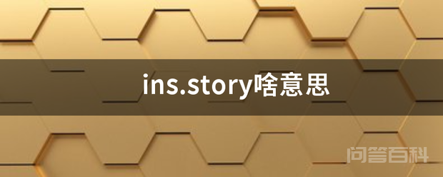 ins.story啥意思