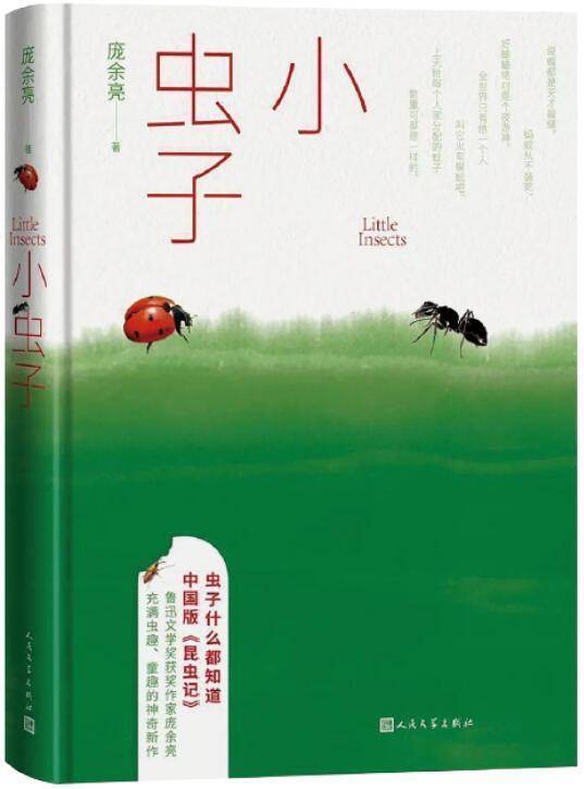 上海书展｜文献与随笔，拨开读图时代的迷雾
