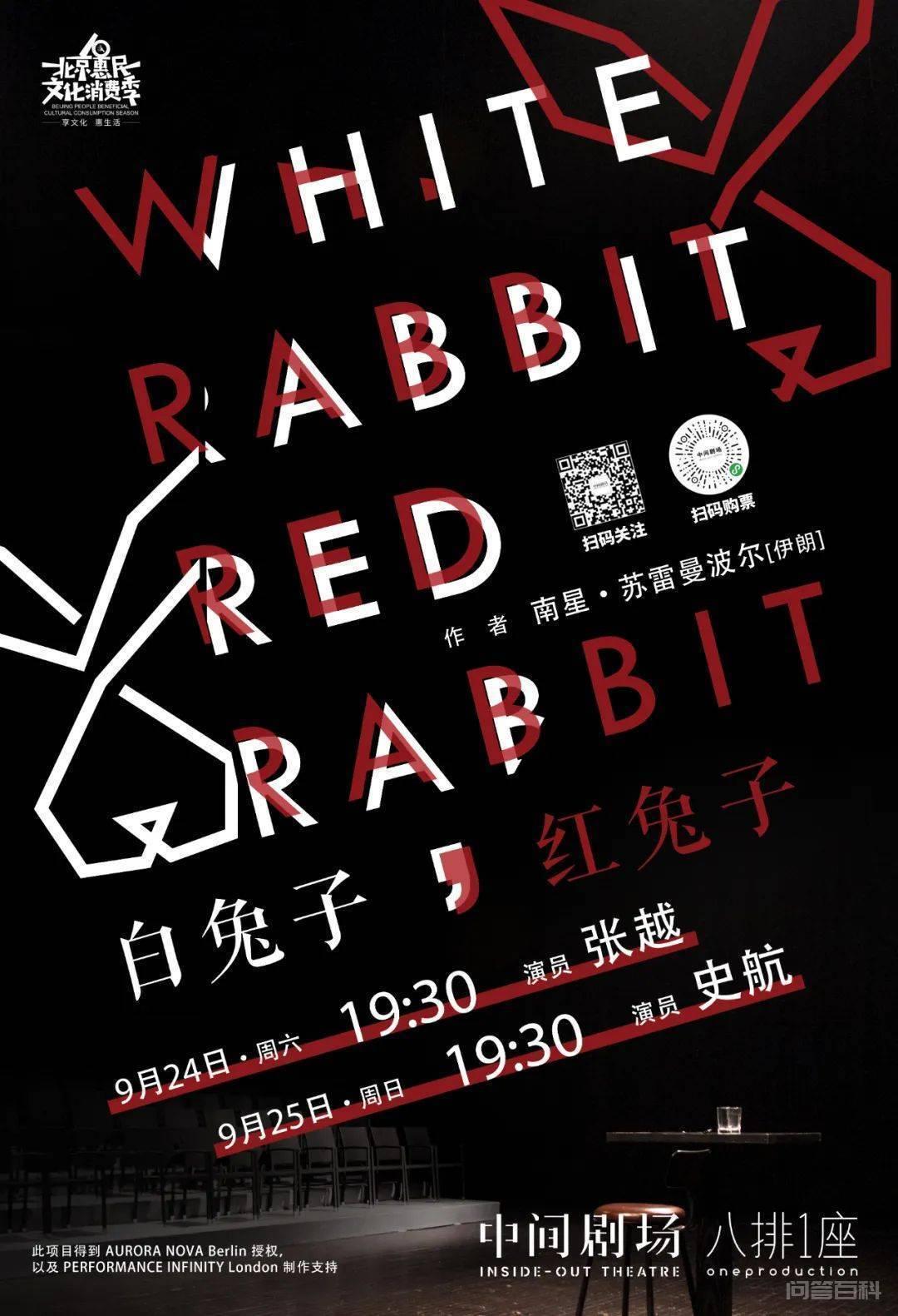中间剧场新作 | 互动戏剧《白兔子，红兔子》《空格》