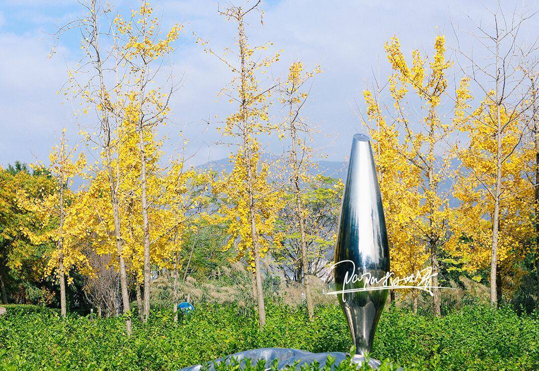 福州一个开放式公园，园内花卉众多，被誉为福州的万花园