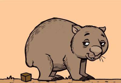 国际袋熊日：看这拉正方体粑粑、用屁股堵门的“萌兽”