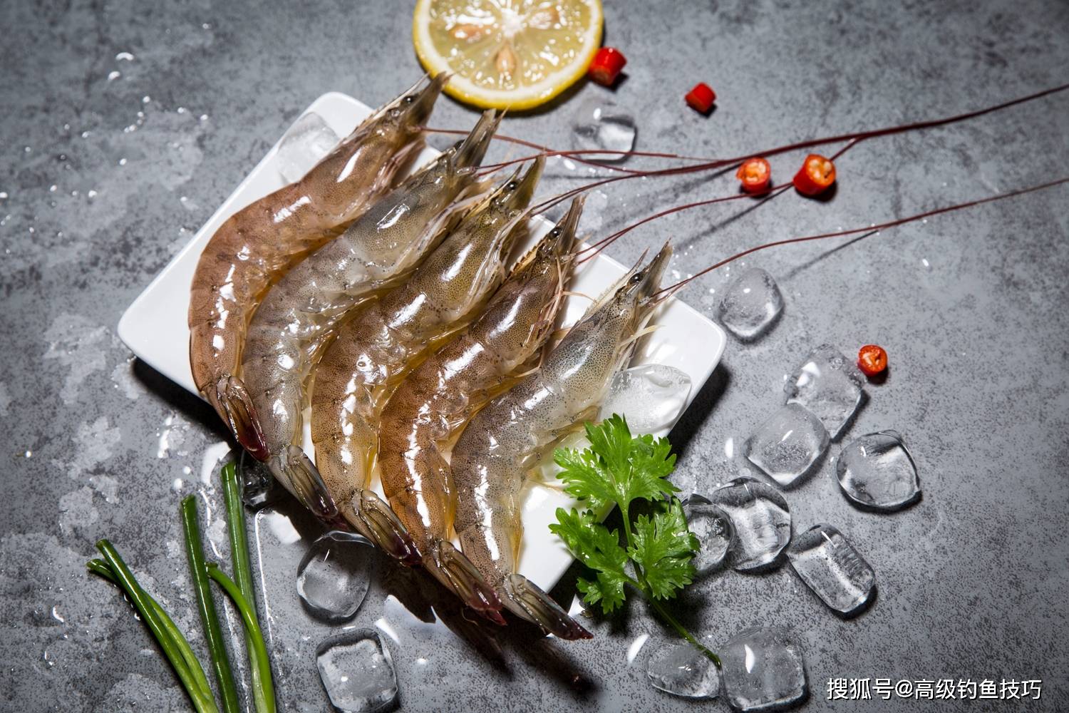 钓鱼大赛惹争议，使用冻干虾饵是否违规？详解液氮锁鲜技术