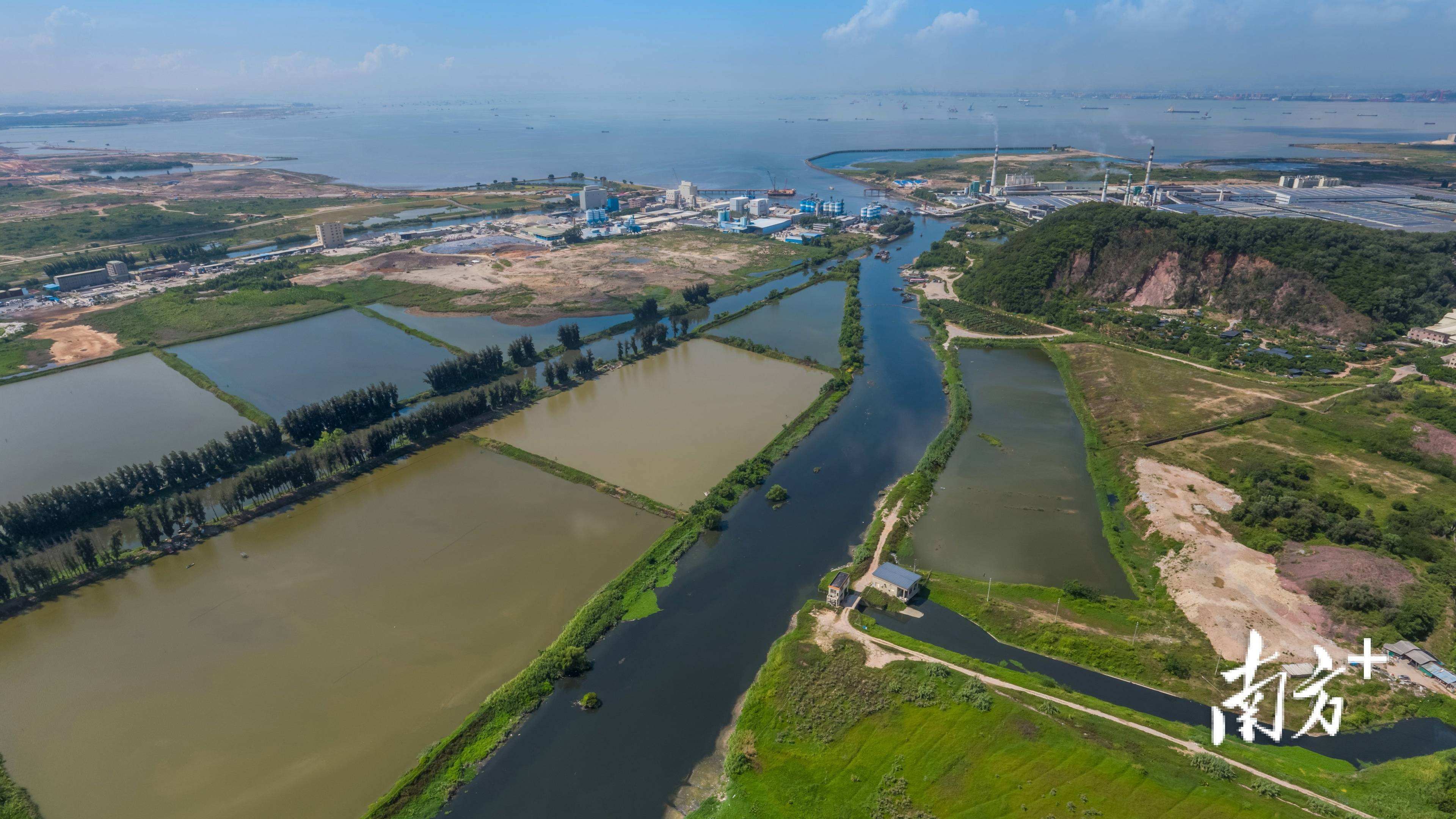 磨碟河片区截污管网工程竣工验收，滨海湾迎来“生态蝶变”