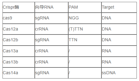 Crispr/cas系统基因编辑用核酸内切酶Cas9,Cas12a,Cas12b,Cas13a,Cas14a区别