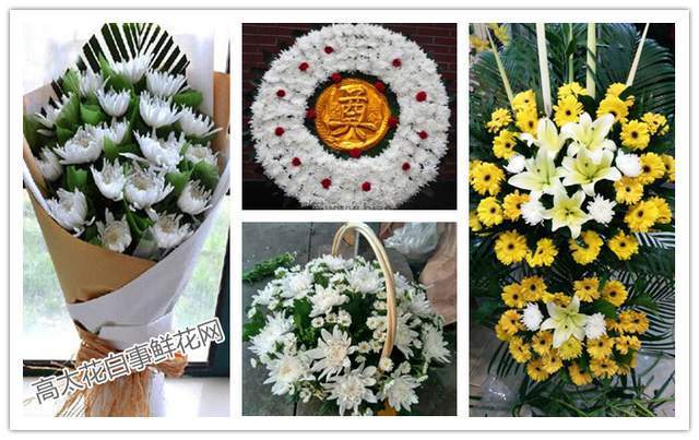 重阳节花：重阳节带什么花祭祖，代表重阳节的鲜花是什么