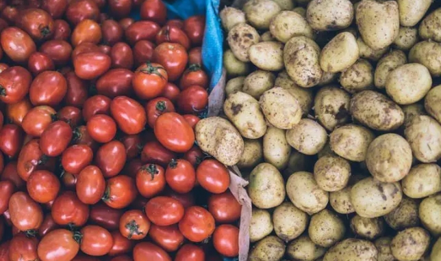 茄属蔬菜对人体有害,是真的吗？