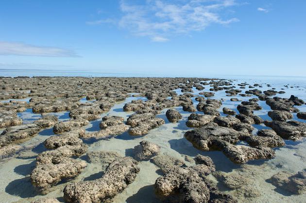 地球上最初的<strong>生命</strong>是什么？38亿年前最古老岩石中找到答案