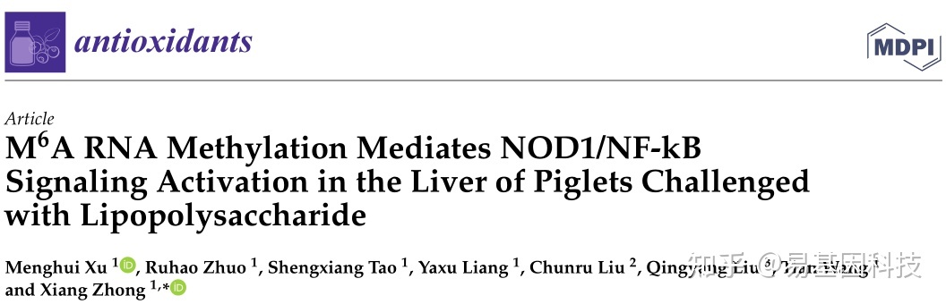 易基因｜脂多糖诱导的仔猪肝脏损伤模型中m6A RNA甲基化介导了NOD1/NF-kB信号激活
