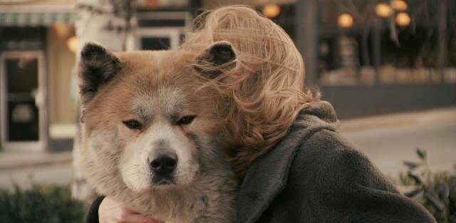 《忠犬八公的故事》：人与动物之间的温暖和尊重
