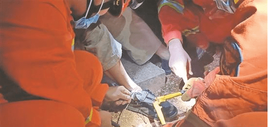 福建泉州：野猪套锁脚，消防员拆除“咬人”铁圈