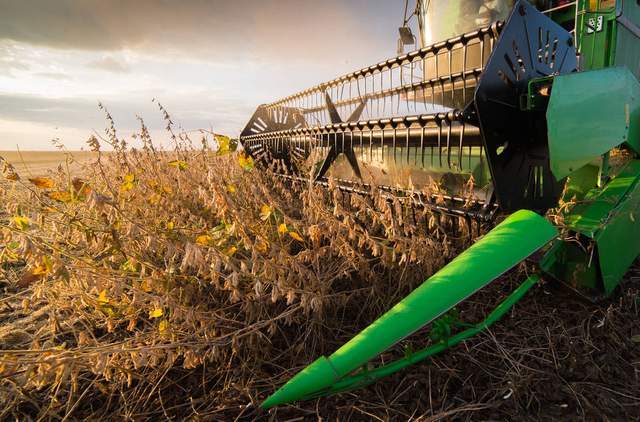 谷物市场分析师预计未来美国大豆压榨产能提高30%