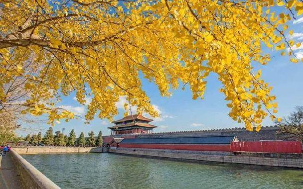 北京有哪些登高的好去处，能让人观赏到秋景的同时体会到登高的乐趣