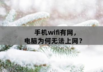 手机wifi有网，电脑为何无法上网？