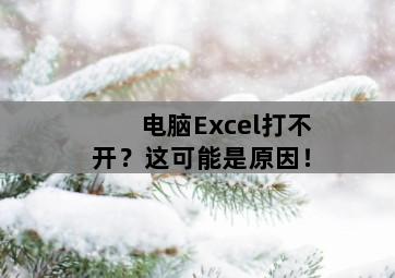 <strong>电脑</strong>Excel打不开？这可能是原因！