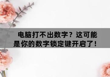 电脑打不出数字？这可能是你的数字锁定键开启了！