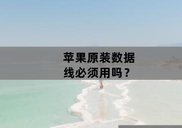 苹果原装数据线必须用吗？