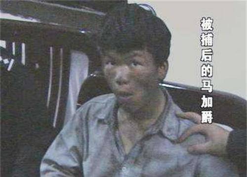 2004年，马加爵被讥讽后“血洗宿舍”，为什么唯独放过室友林峰？