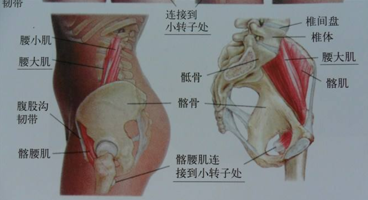 腰部酸胀痛什么<strong>原因</strong>女性 腰在什么位置