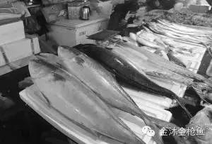 10元/斤金枪鱼热销 实为低端鲣鱼 春节生食金枪鱼请购买正规厂家的产品