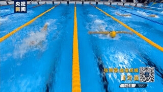 游泳运动员_游泳运动员游泳视频_游泳运动员的日常训练方法