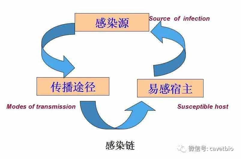 疫病防控 | 口蹄疫流行过程的基本环节与规律