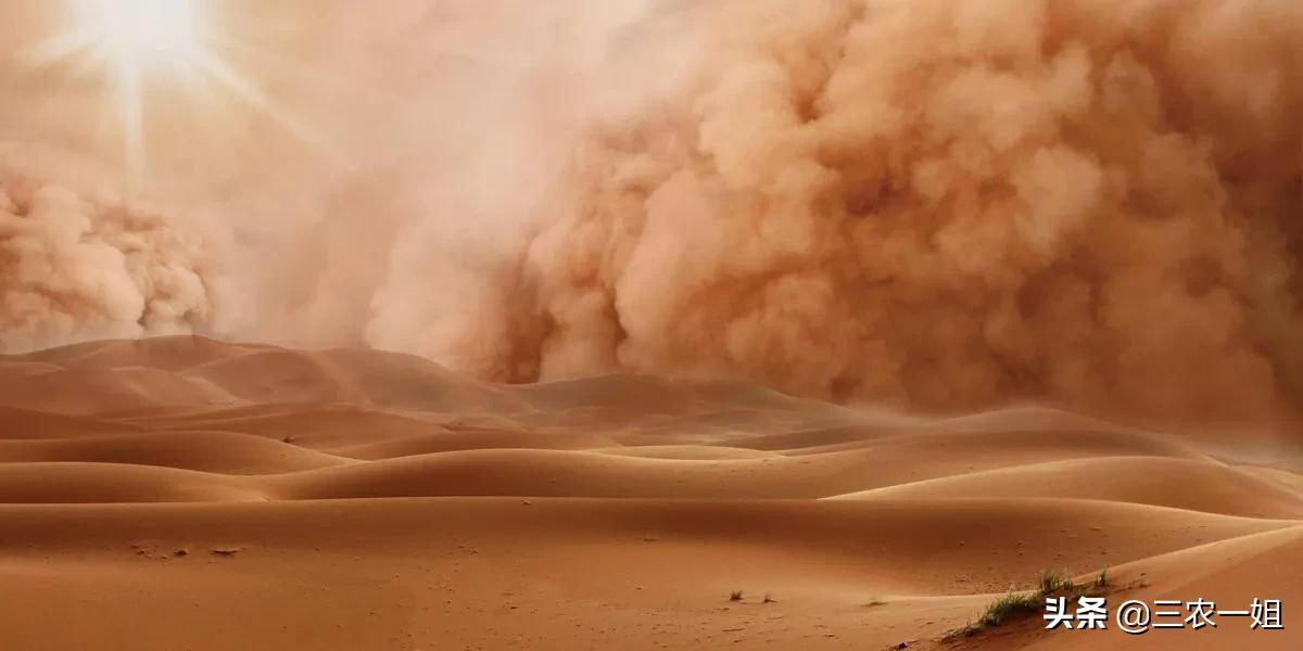 北方或有4至5次沙尘暴的地方 北方遇今年来最强沙尘，沙尘暴是怎么形成的？应如何治理？
