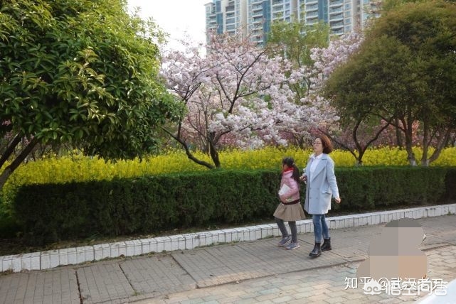 赏樱指南 武汉大学有什么好玩的地？