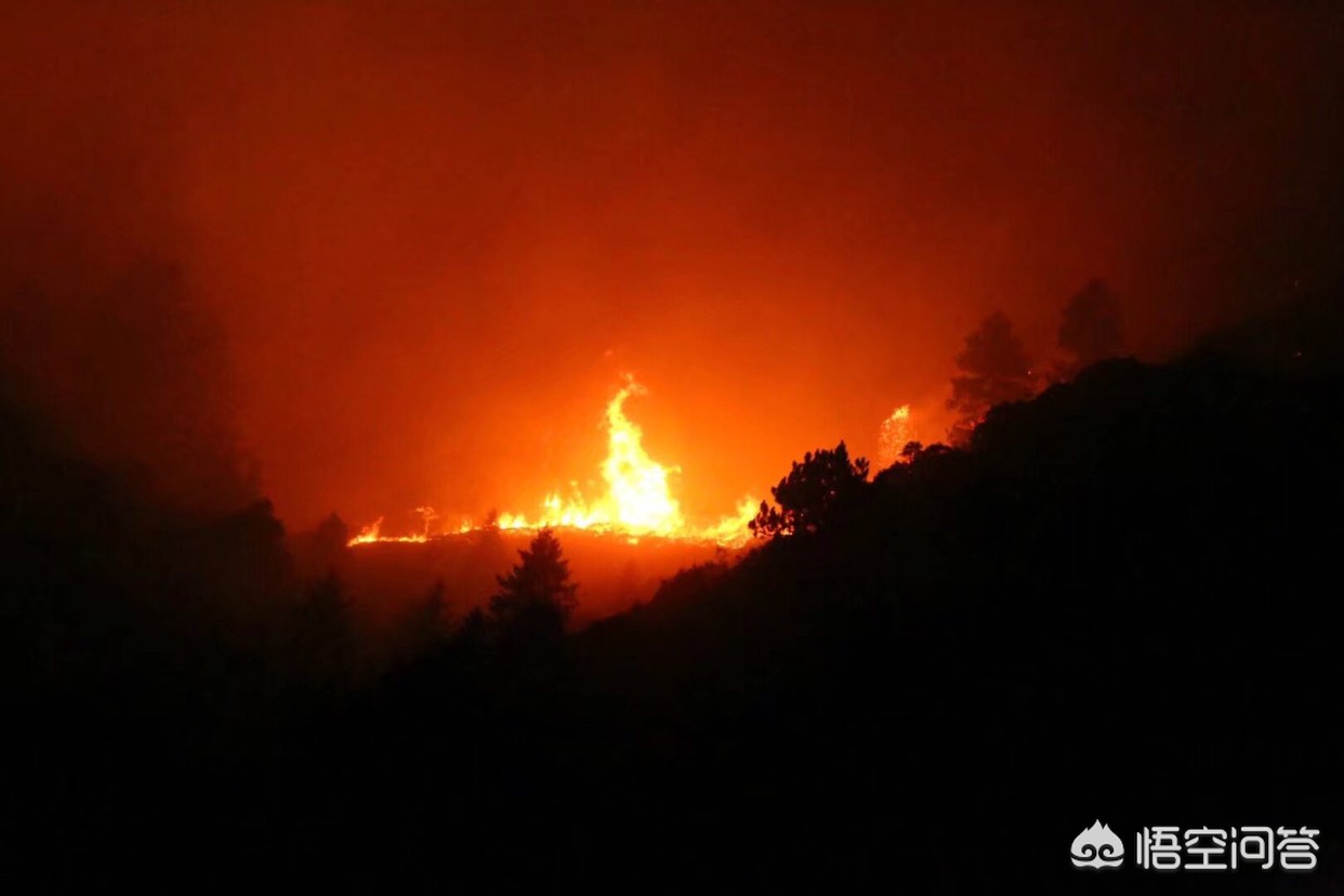 四川木里山火伤亡惨痛，遇见山火，如何能够安全逃生或者增加生存机会？