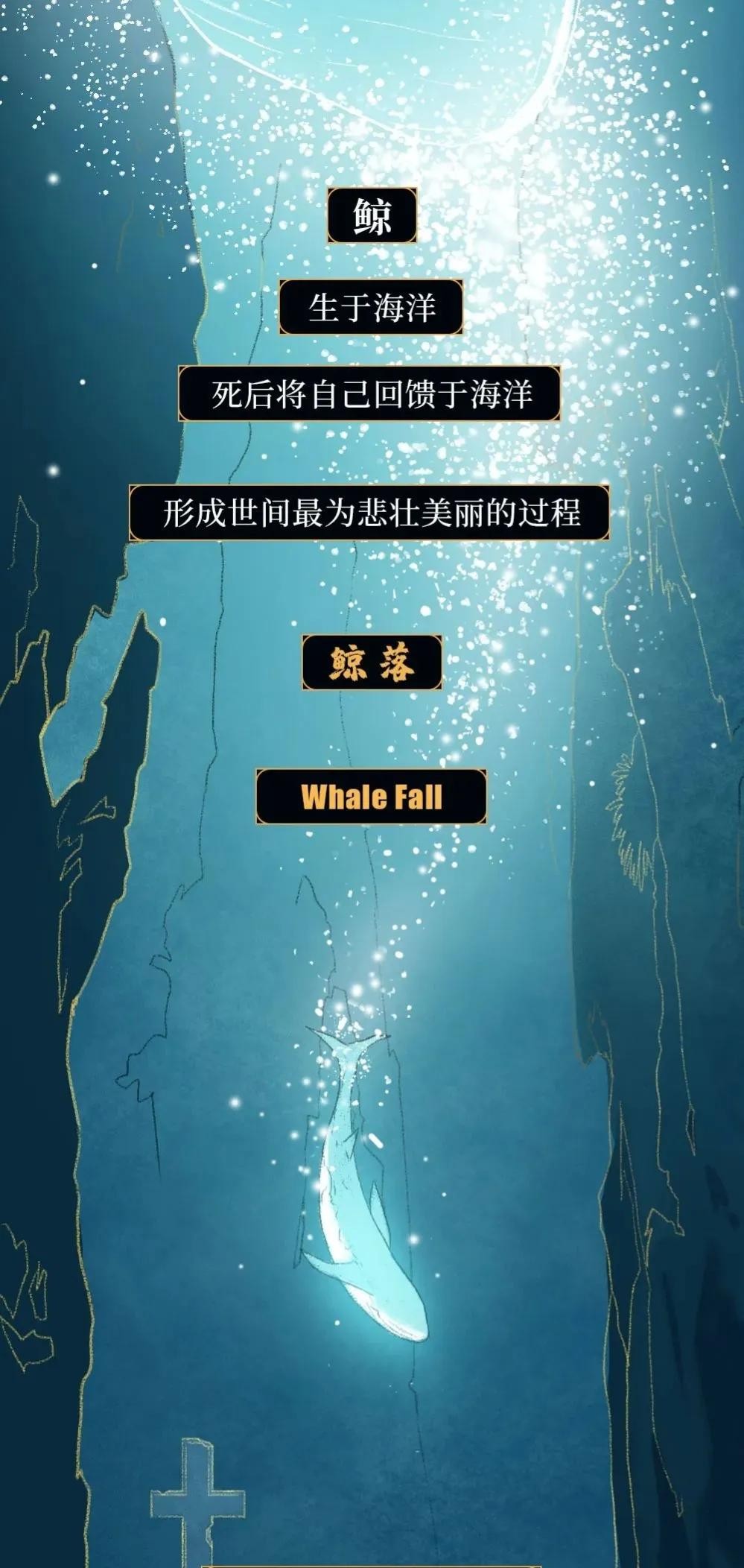 鲸鱼爆炸视频 <strong>人</strong>的尸体腐败会不会跟漂落在海边浅滩的鲸鱼一样发生“爆炸”？
